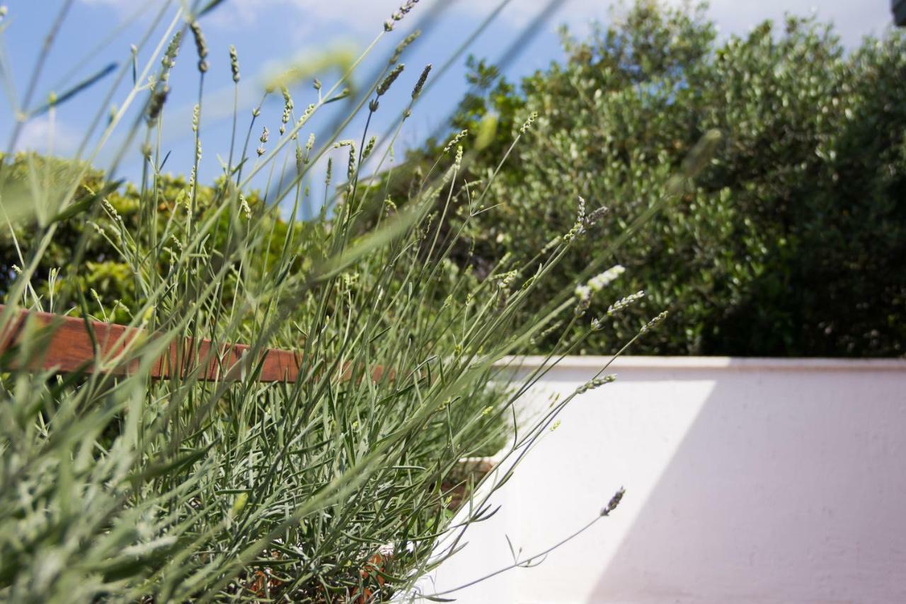 Holiday Home Laurea スペタル エクステリア 写真