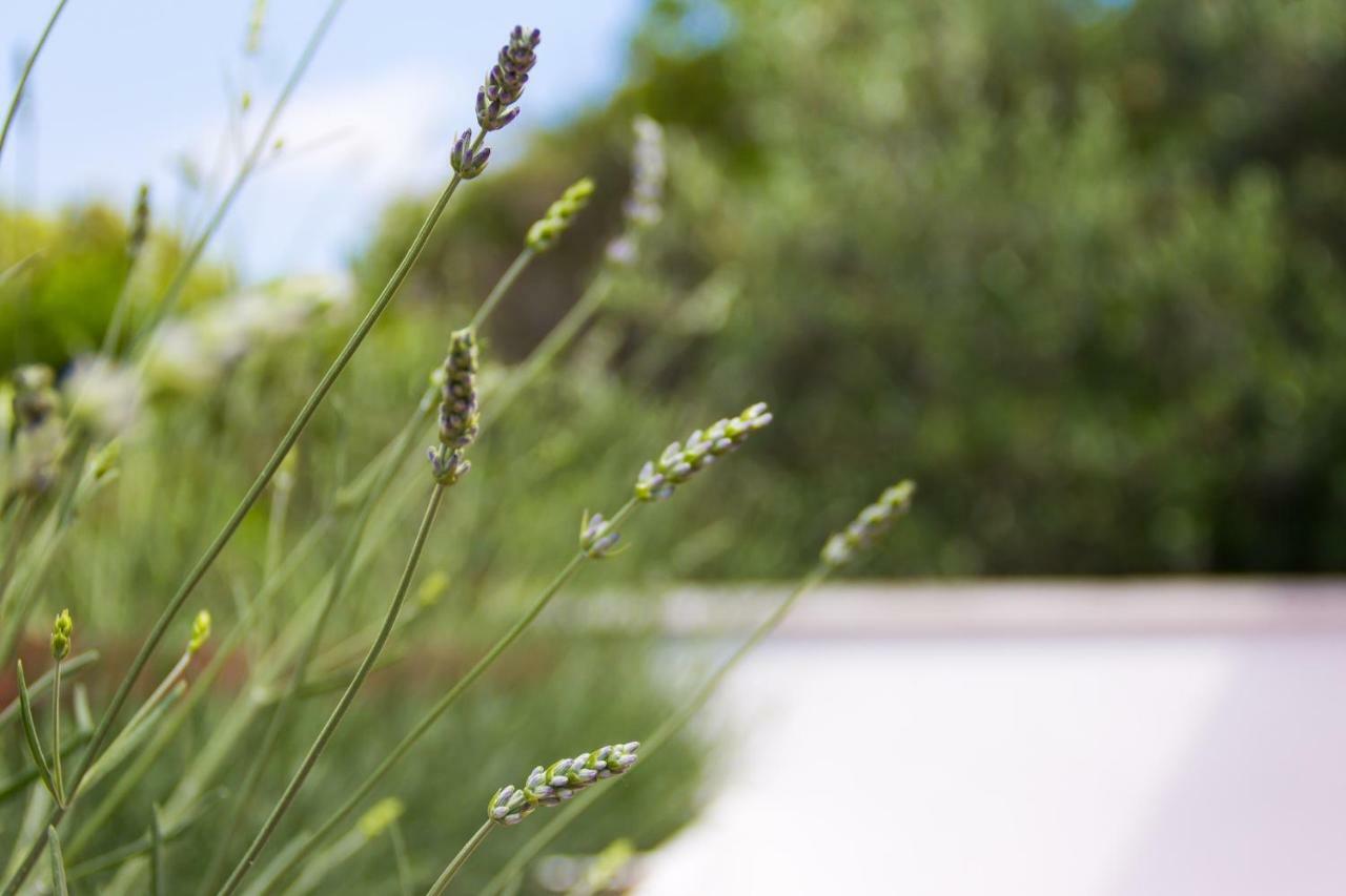 Holiday Home Laurea スペタル エクステリア 写真